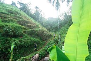 BIB: 
                            <button type="button" onclick="openModal(21899191)" class="btn btn-primary btn-sm float-right btn-popup" data-toggle="modal" data-target=".modal-high-quality">
                        <i class="fas fa-shopping-cart"></i> Add to Cart
                    </button>
                                            <button type="button" onclick="isThisMe(21899191, true)" class="btn btn-success btn-sm float-right btn-popup btn-isme hidden" data-toggle="tooltip" data-placement="bottom" title="นี่คือรูปของคุณใช่ไหม คลิกที่นี่เพื่อเอาเข้าอัลบั้ม">
                        <i class="fas fa-plus"></i> Add to album
                    </button>
                    <button type="button" onclick="isThisMe(21899191, false)" class="btn btn-warning btn-sm float-right btn-popup btn-isnotme hidden">
                        <i class="fas fa-ban"></i> Remove from album
                    </button>